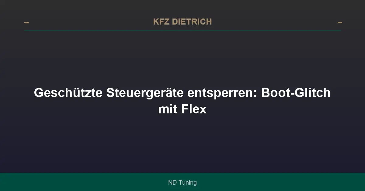 Geschützte Steuergeräte entsperren: Boot-Glitch mit Flex