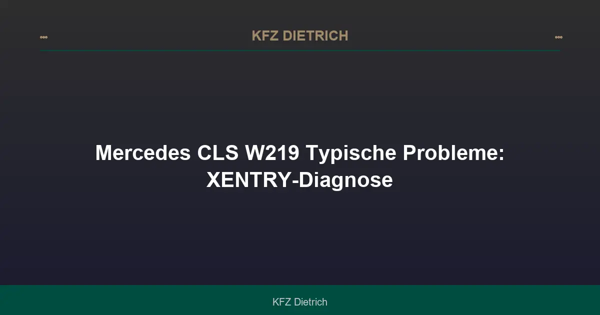 Mercedes CLS W219 Typische Probleme: XENTRY-Diagnose