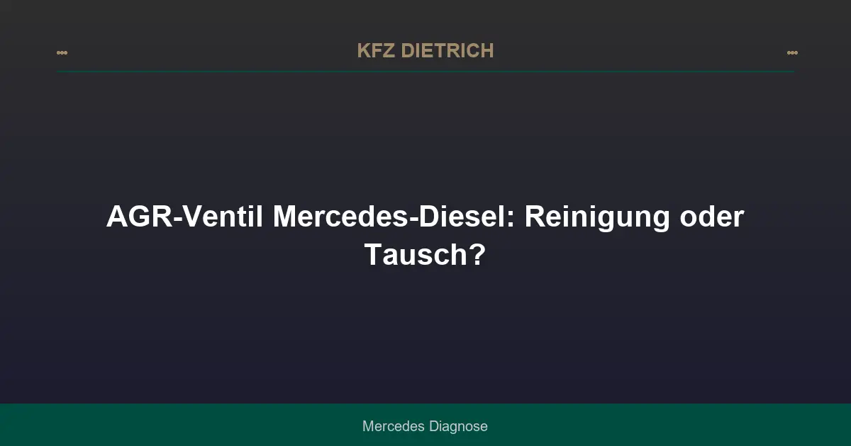 AGR-Ventil Mercedes-Diesel: Reinigung oder Tausch?