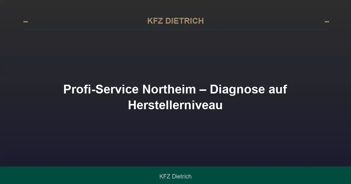 Profi-Service Northeim – Diagnose auf Herstellerniveau