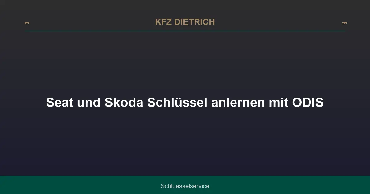 Seat und Skoda Schlüssel anlernen mit ODIS