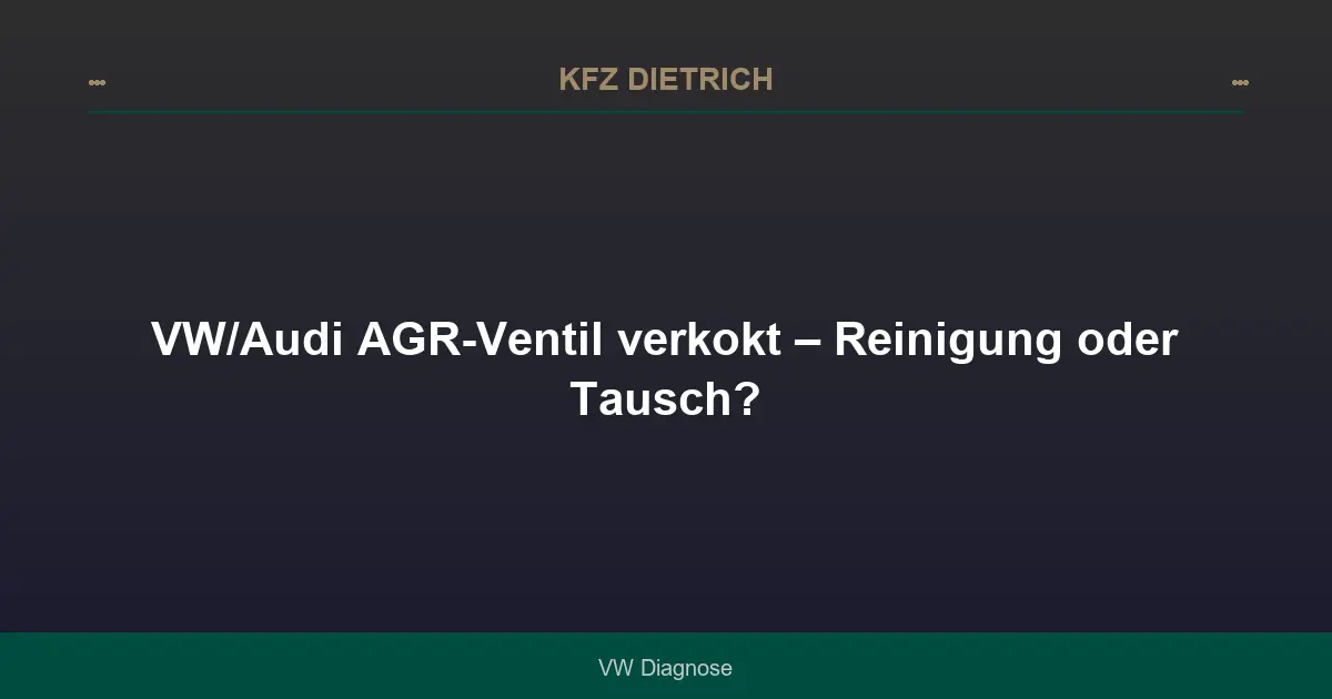VW/Audi AGR-Ventil verkokt – Reinigung oder Tausch?