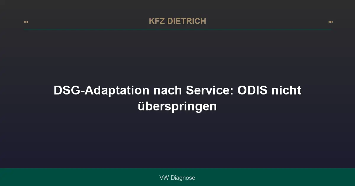 DSG-Adaptation nach Service: ODIS nicht überspringen