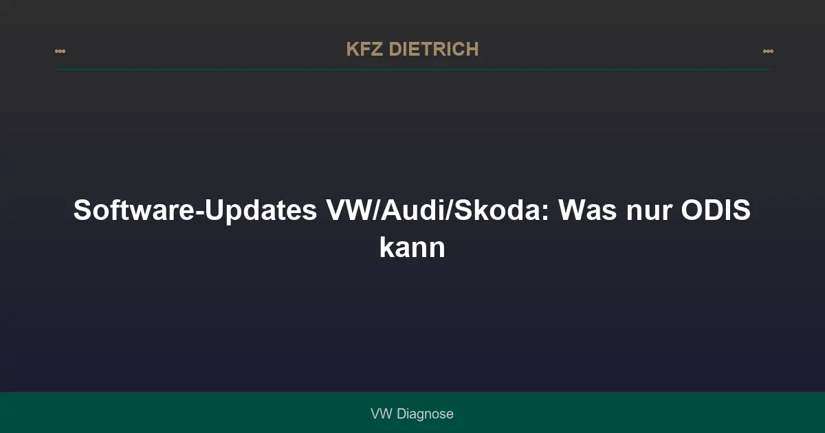 Software-Updates VW/Audi/Skoda: Was nur ODIS kann