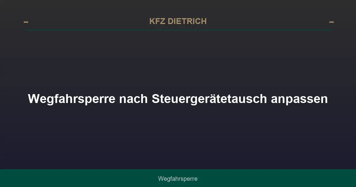 Wegfahrsperre nach Steuergerätetausch anpassen